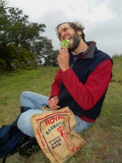 Broccoli ain't a tree!